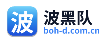 波黑队